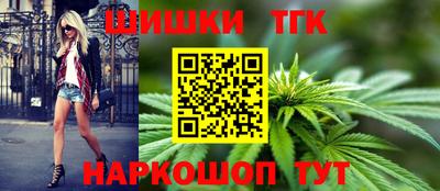МДПВ Гусев