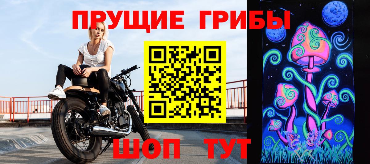 Псилоцибиновые грибы Psilocybine cubensis Краснодар