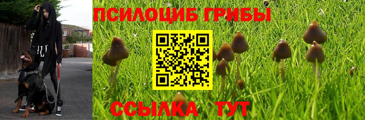 Псилоцибиновые грибы мицелий  Вход с VPN  Краснодар  Псилоцибиновые грибы Magic Shrooms 